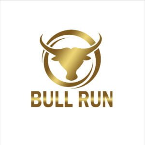 bull run project by edixco